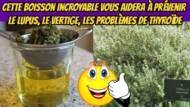 Cette boisson incroyable vous aidera à prévenir le lupus, le vertige, les problèmes de thyroïde ...