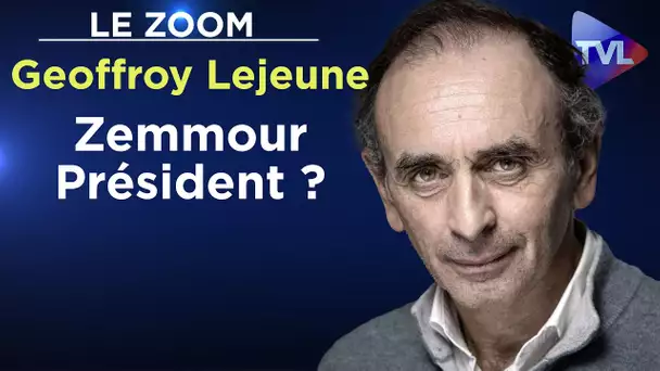 Zemmour Président ? - Le Zoom - Geoffroy Lejeune - TVL