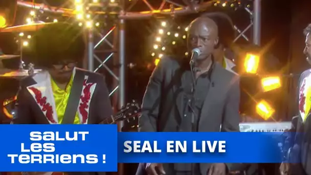 Le live improvisé de Seal avec les Greenments - Salut les Terriens