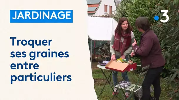 Jardinage : troc de graines entre particuliers, "c'est le plaisir d'échanger et de partager"