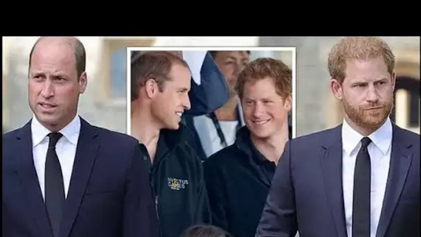 Le prince Harry a été critiqué pour avoir « pensé qu'il pouvait revenir » dans la famille royale