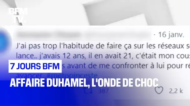 Affaire Duhamel, l'onde de choc