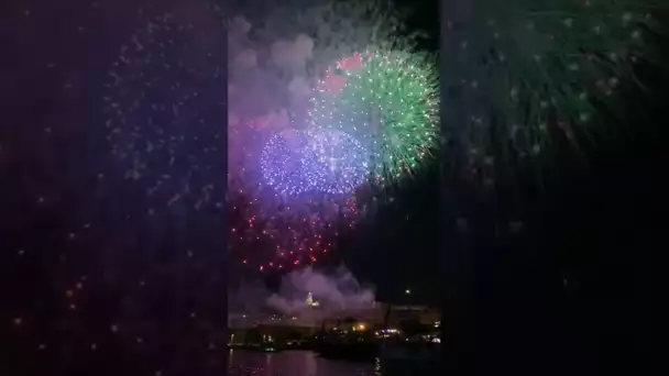 #shorts Feu d'artifice du 14 juillet au Vieux Port de Marseille