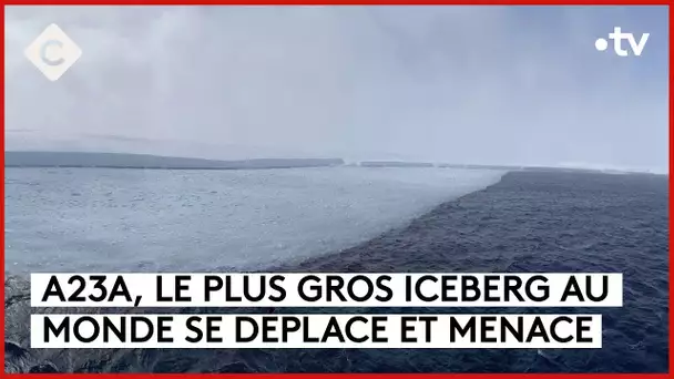 Antarctique : le plus gros iceberg du monde à la dérive - La Story - C à Vous - 28/11/2023