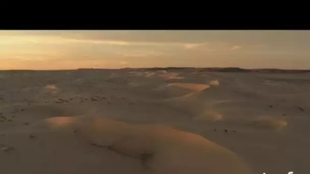 Mauritanie : quatre dromadaires dans le désert de Tichit