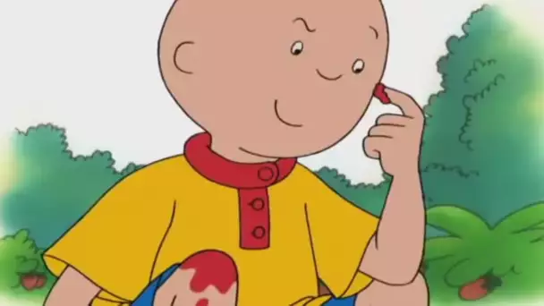 Caillou FRANÇAIS - Caillou cueille des fraises | conte pour enfant | dessin animé en entier 🍓 🍒