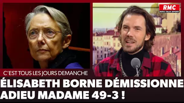 Arnaud Demanche : Élisabeth Borne démissionne, adieu Madame 49-3 !