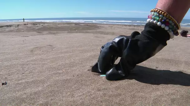 Gard : le projet Azur milite contre la pollution des plages en Méditerranée, exemple au Grau-du-Roi