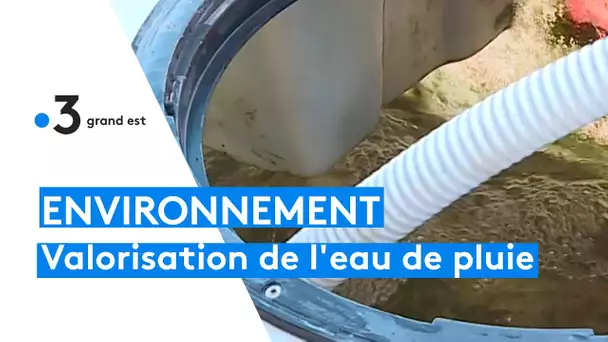L'installation des récupérateurs d'eau de pluie se développe en Alsace pour valoriser l'eau