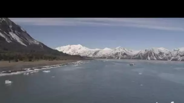 Alaska : glaciers du Mont Saint Elias