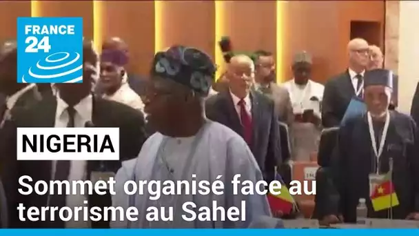 Nigeria : un sommet organisé face au fléau du terrorisme au Sahel • FRANCE 24