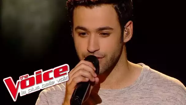 Christophe – Les mots bleus | Anthony Touma | The Voice France 2013 | Demi-Finale