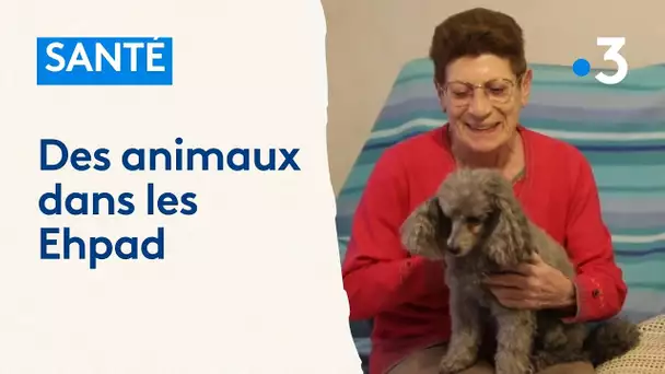 Des animaux dans les Ehpad : "ça tranquillise, ça rassure"