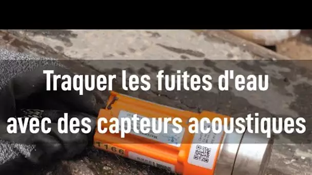 Eau potable : « Les capteurs acoustiques offrent un gain énorme pour la détection des fuites »