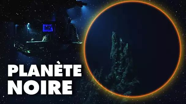 PLANÈTE NOIRE, les “extraterrestres” des abysses