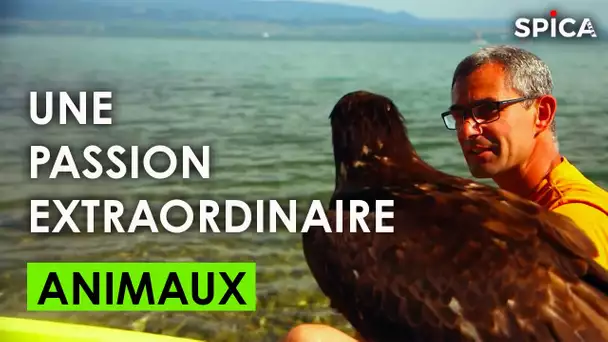 Le monde des animaux : une passion extraordinaire