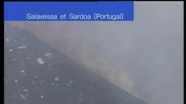 Incendies dramatiques au Portugal