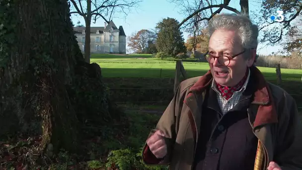 Un chêne de Vendée candidat au concours de l'Arbre de l'année 2020.