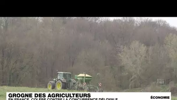 Le monde agricole français critique la "concurrence déloyale" de l'UE • FRANCE 24