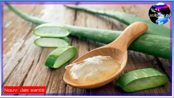 Elle frotte de l’Aloe Vera sur ses cheveux, 5 minutes après va vous surprendre ! | NOUVELLES 24H