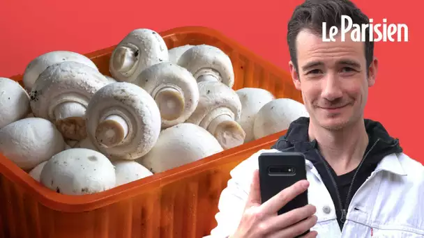 Pourquoi les champignons de Paris viennent-ils de Pologne ?