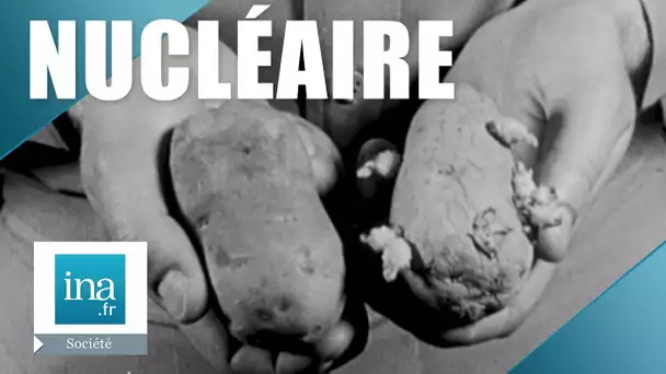 1956 : Le nucléaire, c&#039;est l&#039;avenir | Archive INA