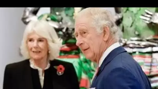 Camilla "est incroyablement inquiète" de l'impact des mémoires du prince Harry sur le roi Charles