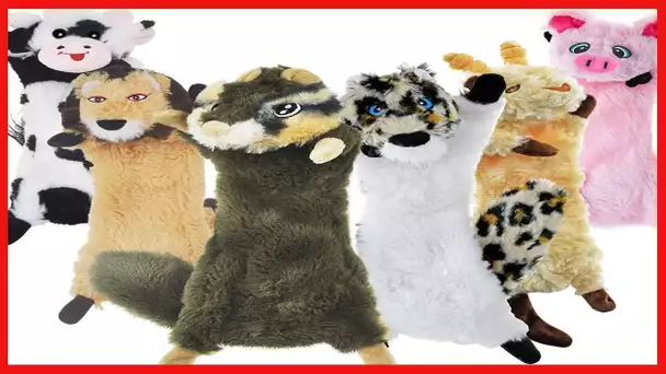 Dog Squeaky Toys No Stuffing, 6 Pack Dog Toys Crinkle Dog Toys for Small Dogs Durable Dog Chew Toys