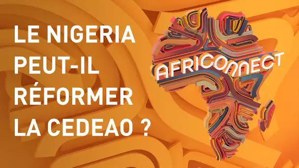 🌍 AFRICONNECT 🌍 LE NIGERIA PEUT-IL RÉFORMER LA CEDEAO?