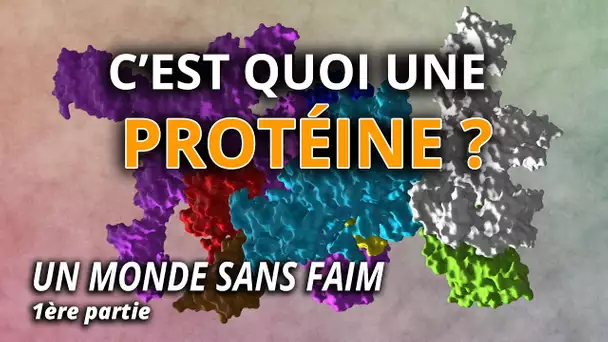 C'est quoi une protéine ? - L'Esprit Sorcier