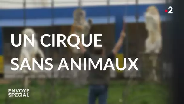 Envoyé spécial. Un cirque sans animaux - Jeudi 10 juin 2021 (France 2)