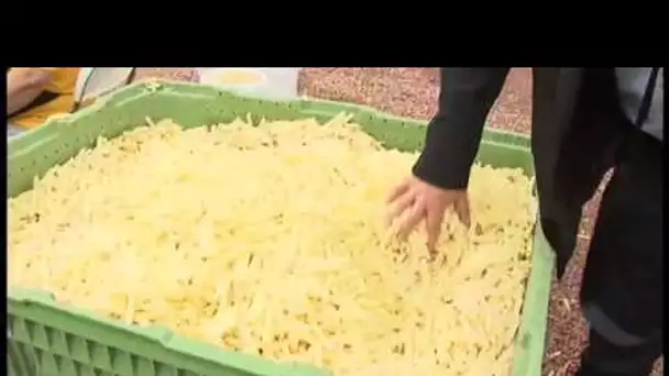 Il tente le record du monde du plus grand cornet de frites