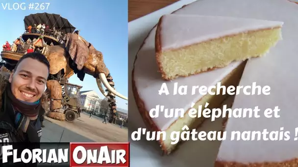 A la recherche d'un ELEPHANT et d'un GATEAU NANTAIS - VLOG #267