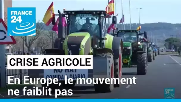 A travers l'Europe, le mouvement de contestation des agriculteurs ne faiblit pas • FRANCE 24