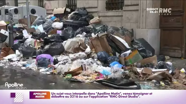 À Marseille, la préfecture de police réquisitionne des éboueurs pour enlever les tonnes de déchets