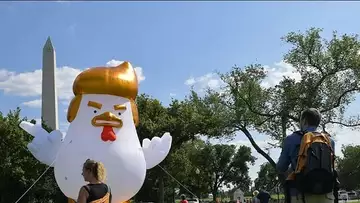 Un poulet géant à l’effigie de Donald Trump installé devant la Maison-Blanche