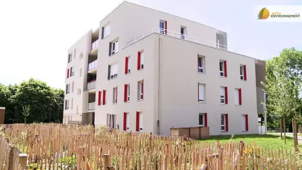 Label E+C- : la nouvelle réglementation du bâtiment se construit sur le terrain