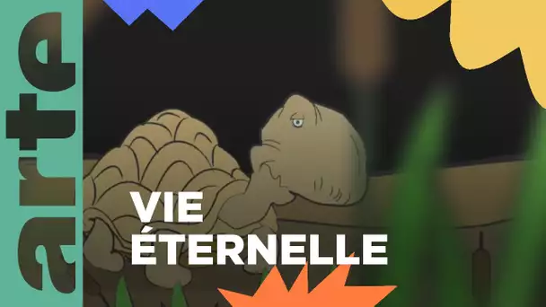 L’animal à la plus longue espérance de vie | ARTE