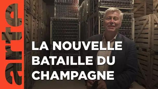 Champagne : les Anglais attaquent | ARTE Regards