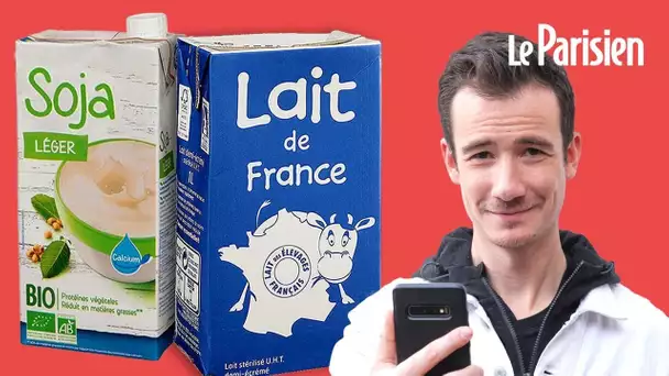 Les «laits» végétaux peuvent-ils remplacer le lait de vache ?