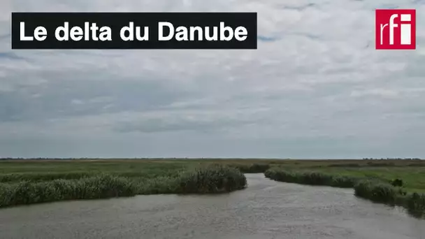 Le delta du Danube est-il menacé ?