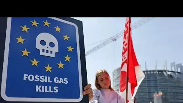 L'Autriche va saisir la justice de l'UE pour dénoncer le label vert accordé au gaz et au n…