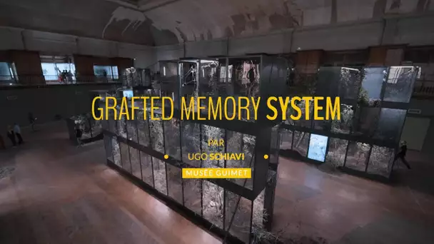 Biennale d'art contemporain de Lyon : «Grafted Memory System» d'Ugo Schiavi au musée Guimet