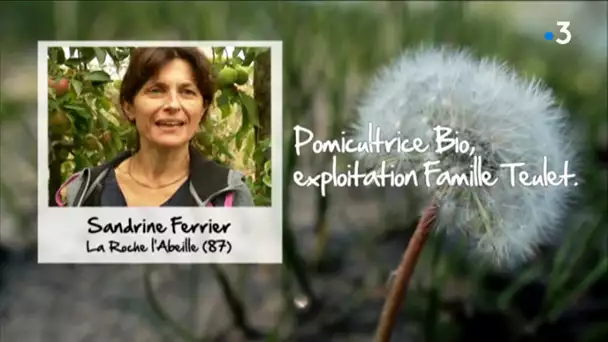 Pour ma planète" : En Haute-Vienne, une des plus grandes exploitations de pommes bio de France