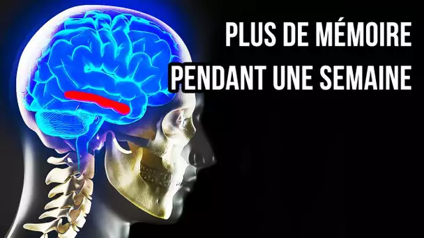 Et si les 8 milliards d’êtres humains perdaient la mémoire en même temps ?