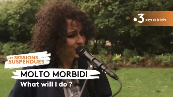 Molto Morbidi - "What will I do ?" au Jardin des Plantes [Les sessions suspendues]