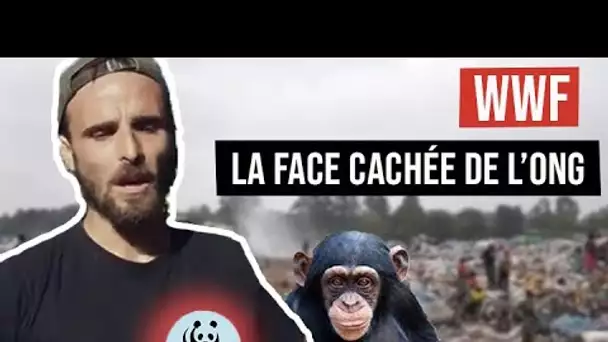 WWF, la face cachée de l'ONG