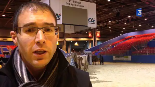 SIA 2015 : Exportation de la Prim&#039;Holstein en baisse