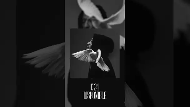 C24 🕊️ Disponible sur toutes les plateformes de streaming ‼️