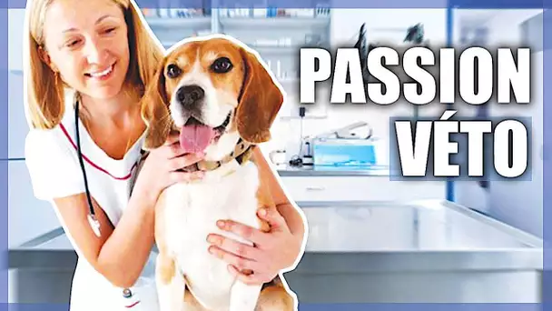 Urgences Vétérinaires, la passion au service des animaux